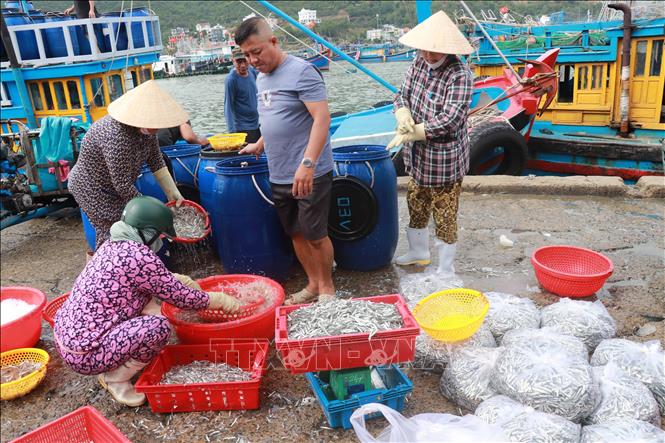 Ngư dân đưa cá lên cảng bán cho thương lái. Ảnh Đặng Tuấn- TTXVN