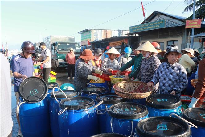 Ngư dân đưa cá lên cảng bán cho thương lái. Ảnh Đặng Tuấn- TTXVN