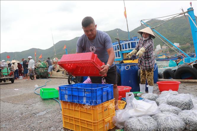 Ngư dân đưa cá lên cảng bán cho thương lái. Ảnh Đặng Tuấn- TTXVN
