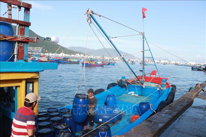 Thuyền đánh cá cơm cập cảng Vĩnh Trường. Ảnh Đặng Tuấn- TTXVN