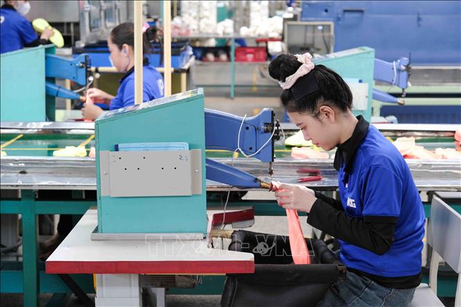 Công nhân Công ty TNHH TKG Tae Kwang Cần Thơ trong giờ làm việc. Ảnh: Thanh Liêm - TTXVN