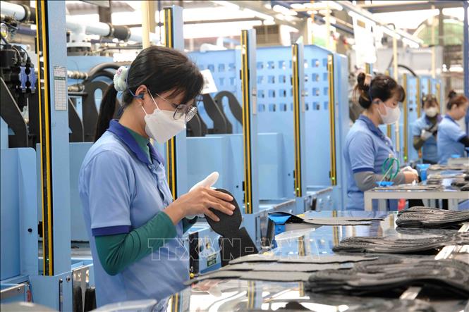 Công ty TNHH TKG Tae Kwang Cần Thơ sẽ tuyển thêm 1.000 lao động trong năm 2025. Ảnh: Thanh Liêm - TTXVN