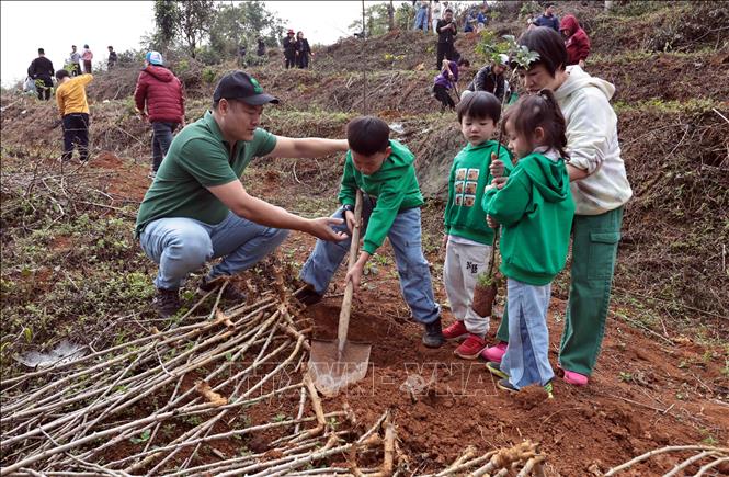 Một gia đình đến từ Hà Nội tham gia trồng cây tại Khu bảo tồn thiên nhiên Pù Luông. Ảnh: Trần Việt - TTXVN  