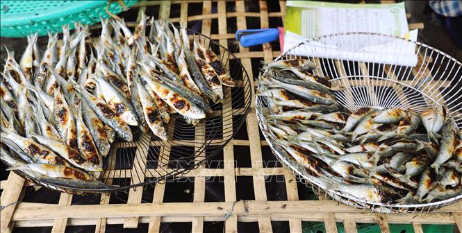 A local selling grilled sardine in Dien Chau district, Nghe An province. VNA Photo: Xuân Tiến