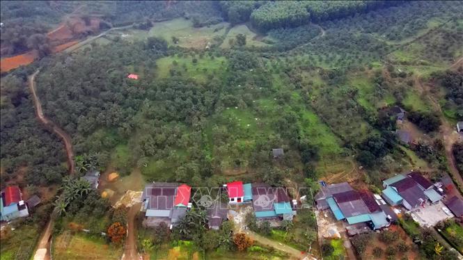 Vùng trồng bưởi Phúc Trạch tại xã Hương Thủy (huyện Hương Khê). Ảnh: Hữu Quyết - TTXVN