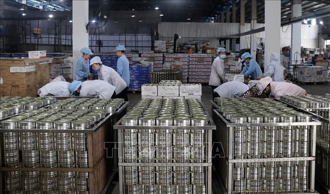 Sản xuất chế biến cá hộp xuất khẩu tại nhà máy thực phẩm đóng hộp KTC, Công ty cổ phần thương mại Kiên Giang. Ảnh: Lê Huy Hải - TTXVN