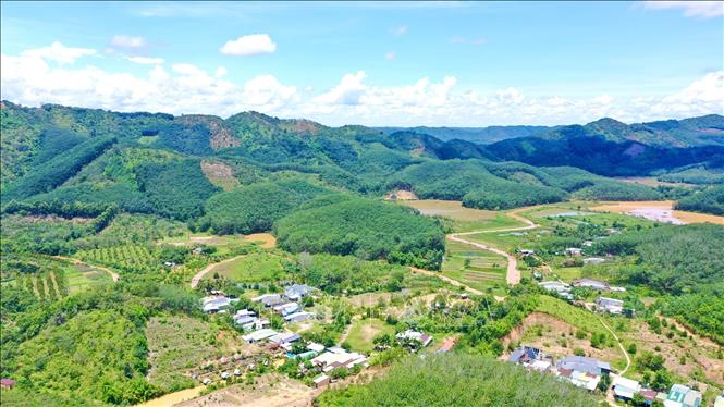 Một góc xã Thống Nhất, huyện Bù Đăng. Ảnh: TTXVN phát