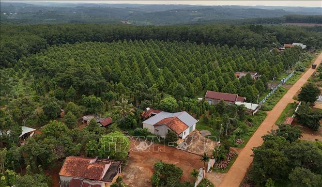 Một góc xã Đức Liễu, huyện Bù Đăng. Ảnh tư liệu: Đậu Tất Thành – TTXVN
