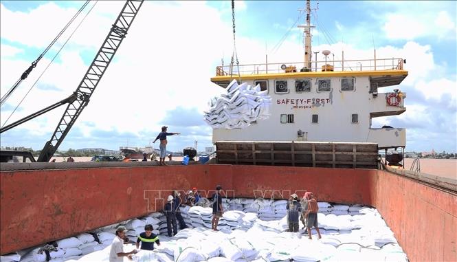 Loading rice for export in the Mekong Delta province of An Giang. VNA Photo: Công Mạo