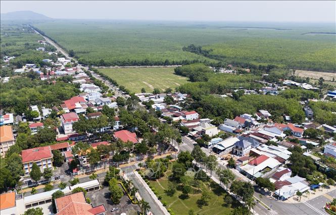 Dầu Tiếng nổi tiếng là vùng chuyên canh cây cao su của Đông Nam Bộ. Ảnh: Hồng Đạt - TTXVN
