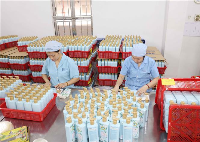 Lao động nữ công ty cổ phần Sao Thái Dương tại xưởng đóng gói dầu gội. Ảnh: Phương Hoa - TTXVN