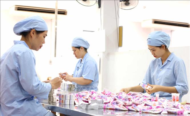 Lao động nữ công ty cổ phần Sao Thái Dương tại xưởng đóng gói dược phẩm. Ảnh: Phương Hoa - TTXVN