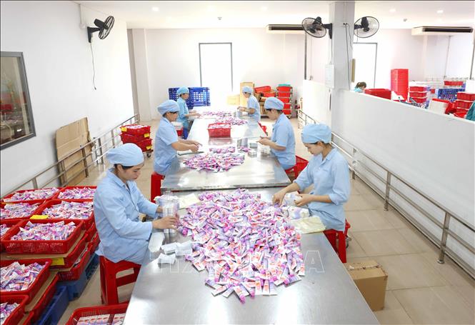 Lao động nữ công ty cổ phần Sao Thái Dương tại xưởng đóng gói dược phẩm. Ảnh: Phương Hoa - TTXVN