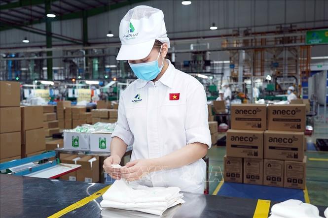Compostable AnEco shopping bags produced by the An Phat Holdings Group. VNA Photo: Tuấn Anh 