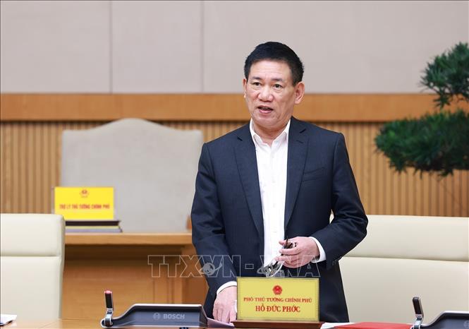 Deputy Prime Minister Ho Duc Phoc speaks at the meeting. VNA Photo: Dương Giang