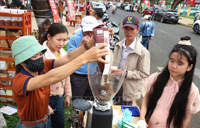 Du khách tìm hiểu về quy trình pha chế cà phê tại chương trình cà phê miễn phí ở thành phố Buôn Ma Thuột. Ảnh: Tuấn Anh - TTXVN