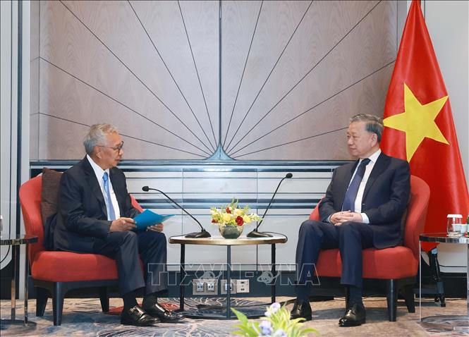 Party General Secretary To Lam receives Budiarsa Sastrawinata, CEO of Ciputra Group. VNA Photo: Thống Nhất