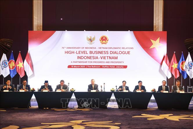 Party General Secretary To Lam and the two countries' delegates at the dialogue. VNA Photo: Thống Nhất
