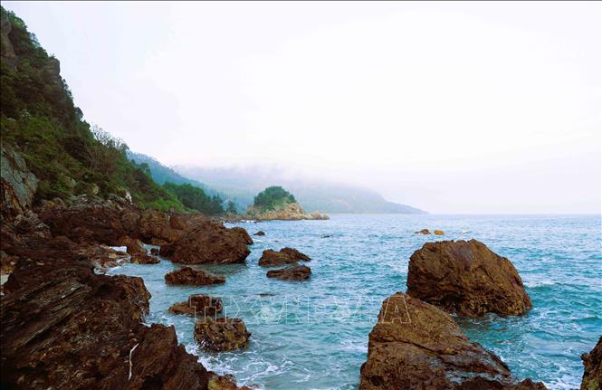 Địa danh núi Rồng được mệnh danh là “trái tim biển Quỳnh” với những đường nét, hình khối được thiên nhiên kiến tạo từ hàng ngàn năm ẩn hiện trong sương chiều. Ảnh: Xuân Tiến - TTXVN 