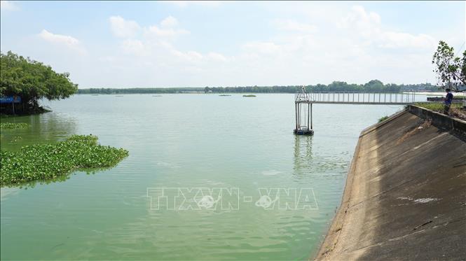 Hồ chứa nước Tha La chuyển sang màu xanh đậm, có hiện tượng cá chết. Ảnh: Minh Phú – TTXVN