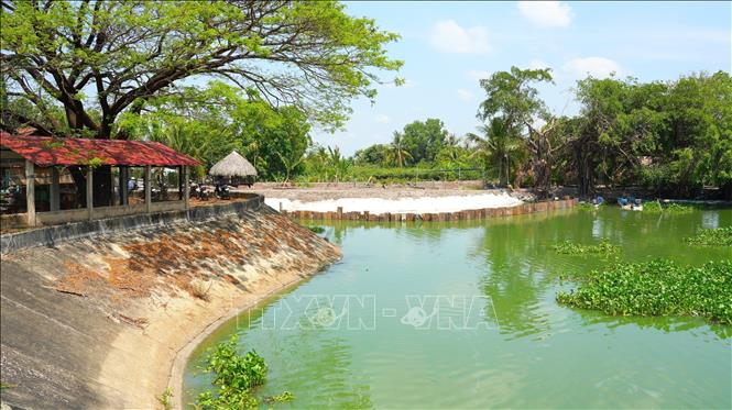 Một góc hồ Tha La chuyển sang màu xanh đậm, bốc mùi hôi. Ảnh: Minh Phú – TTXVN