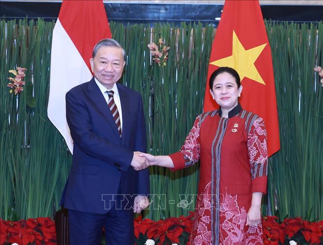 Party General Secretary To Lam and Indonesian Speaker of the House of Representatives Puan Maharani. VNA Photo: Thống Nhất
