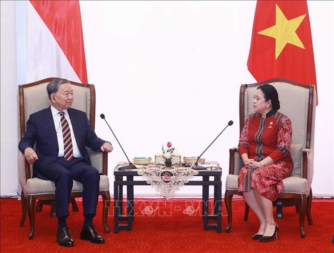 A view of the meeting. VNA Photo: Thống Nhất