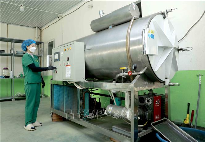 Công nhân vận hành máy sấy tại HTX Nấm Tam Đảo. Ảnh: Hoàng Hùng -TTXVN