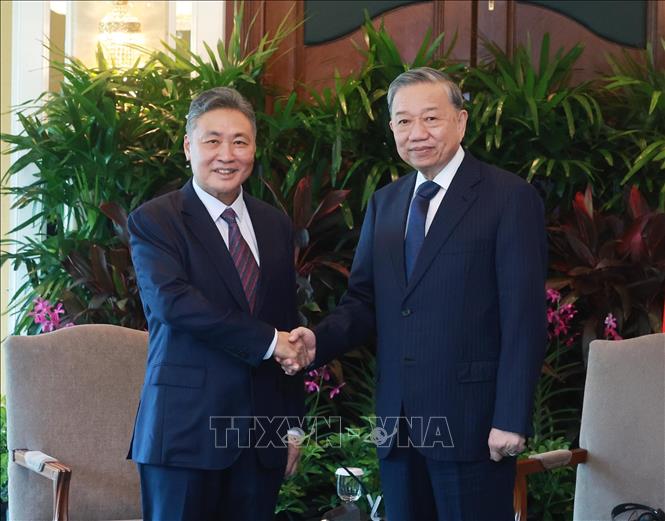 Party General Secretary To Lam receives Tow Heng Tan, Chairman of Sembcorp Industries. VNA Photo: Thống Nhất