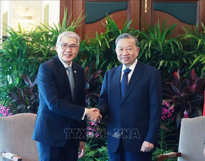 Party General Secretary To Lam receives Lim Ming Yan, Chairman of SBF Group. VNA Photo: Thống Nhất
