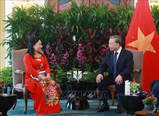 Party General Secretary To Lam receives Tran Thi Lam, founder and chairwoman of Hoa Lam Group. VNA Photo: Thống Nhất