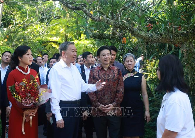 Party General Secretary To Lam and his spouse Ngo Phuong Ly visit the Singapore Botanic Gardens on March 12. VNA Photo: Thống Nhất