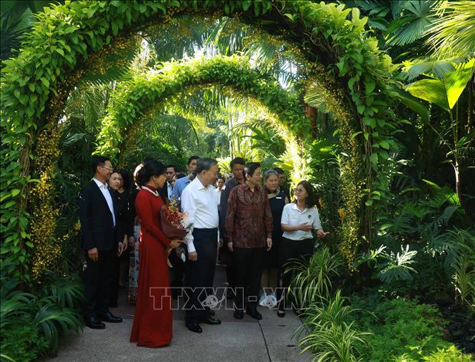 Party General Secretary To Lam and his spouse Ngo Phuong Ly visit the Singapore Botanic Gardens on March 12. VNA Photo: Thống Nhất