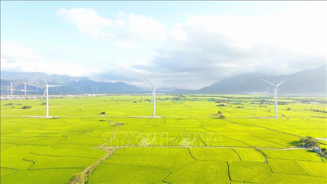 Bức tranh hài hòa giữa thiên nhiên và công nghệ của công trình điện gió Đầm Nại. Ảnh: Nguyễn Thành – TTXVN