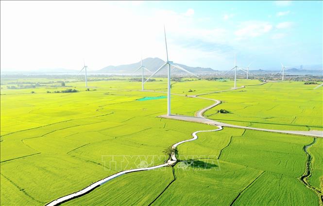 Những con đường uốn lượn kết nối các trụ điện gió tạo nên một bức tranh thiên nhiên vừa hùng vĩ vừa nên thơ. Ảnh: Nguyễn Thành – TTXVN