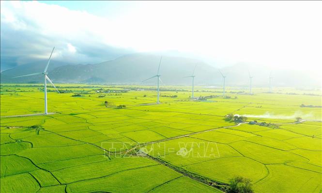 Cánh đồng điện gió Đầm Nại (Ninh Thuận). Ảnh: Nguyễn Thành – TTXVN