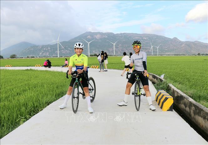Các bạn trẻ chụp ảnh kỷ niệm trên cánh đồng điện gió Đầm Nại. Ảnh: Nguyễn Thành – TTXVN