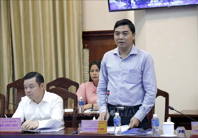 Ông Nguyễn Hoài Anh, Bí thư Tỉnh ủy Bình Thuận, phát biểu tại buổi làm việc. Ảnh: Nguyễn Thanh - TTXVN