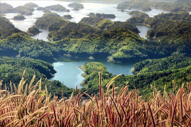 Mục tiêu quy hoạch đến năm 2050, vùng Tây Nguyên là vùng phát triển bền vững, có nền kinh tế xanh, tuần hoàn; hình thành một số khu du lịch chất lượng cao, điểm đến hấp dẫn của du khách trong và ngoài nước... Trong ảnh: Những hòn đảo lớn, nhỏ trong khu bảo tồn thiên nhiên Tà Đùng tạo nên vẻ đẹp kỳ vĩ giữa núi rừng Tây Nguyên. Ảnh: Dương Giang - TTXVN