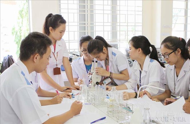 Trường Đại học Tây Nguyên (Đắk Lắk) trong những năm qua luôn đổi mới nội dung và phương pháp giảng dạy, nâng cao trình độ của đội ngũ giảng viên và chú trọng đầu tư cơ sở vật chất, nhằm đáp ứng tốt nhất công tác đào tạo nguồn nhân lực có trình độ cao cho các tỉnh Tây Nguyên (2015). Ảnh:  Dương Giang  - TTXVN