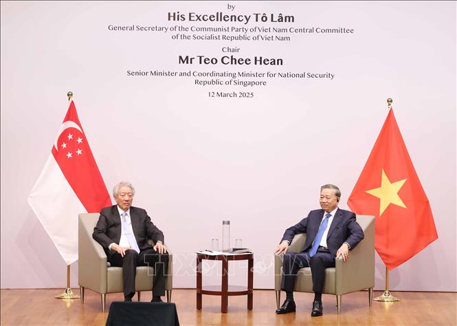 Party General Secretary To Lam at the Lee Kuan Yew School of Public Policy. VNA Photo: Thống Nhất