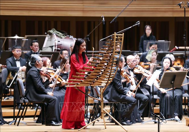 A view of the concert. VNA Photo: Thống Nhất 