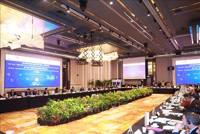 Tọa đàm doanh nghiệp Việt Nam - Singapore. Ảnh: Thống Nhất – TTXVN