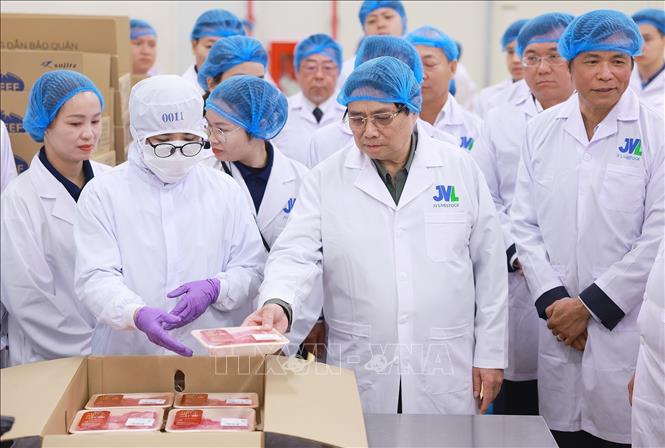 Thủ tướng Phạm Minh Chính tham quan Nhà máy chế biến thịt bò Tam Đảo (xã Minh Quang, huyện Tam Đảo). Ảnh: Dương Giang-TTXVN 
