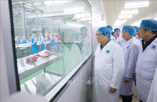 Thủ tướng Phạm Minh Chính tham quan Nhà máy chế biến thịt bò Tam Đảo (xã Minh Quang, huyện Tam Đảo). Ảnh: Dương Giang-TTXVN 
