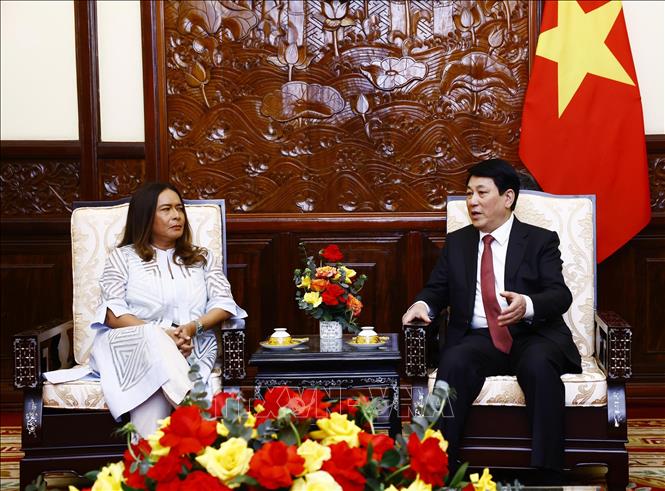 Chủ tịch nước Lương Cường tiếp Đại sứ Cộng hoà Panama Nubiela Yanarith Ayala Modes đến trình Quốc thư. Ảnh: Lâm Khánh – TTXVN