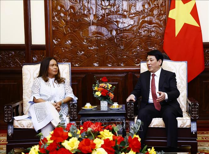 State President Luong Cuong welcomes Ambassador of Panama Nubiela Ayala Modes. VNA Photo: Lâm Khánh
