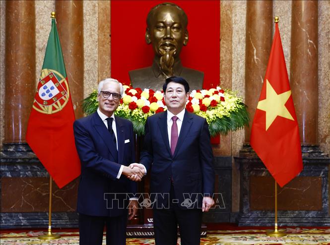 State President Luong Cuong welcomes Luiz Manuel De Magalhaes de Albuquerque Veloso, non-resident ambassador of Portugal. VNA Photo: Lâm Khánh
