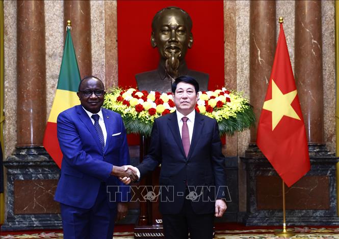 State President Luong Cuong welcomes non-resident ambassador of the Republic of the Congo, Jaques Jean Luc Nyanga. VNA Photo: Lâm Khánh