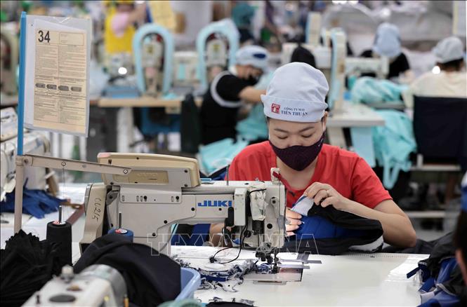Công ty May Tiến Thuận, Ninh Thuận, ổn định việc làm cho hơn 1.500 lao động. Ảnh: Trần Việt - TTXVN